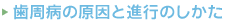 歯周病の原因と進行のしかた
